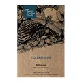 Tollkirsche (Atropa belladonna) - ca. 200 Samen Wildblume alte Heilpflanze Giftpflanze