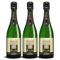 DELINAT – Albet i Noya Espriu Brut 2022– Spanischer Schaumwein herb – Bio-Wein aus Penedès, vegan (3 x 0,75l)