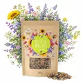 200g Blumenwiese Samen für eine bunte Bienenweide - Farbenfrohe & nektarreiche Wildblumensamen Mischung für Bienen & Schmetterlinge (inkl. GRATIS eBook)