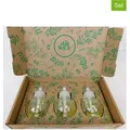 Air Wick 3er-Set: Raumduft-Nachfüller "Sommervergnügen", je 19 ml