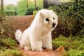 Kösen Hund Spitz weiß sitzend Stoffhund