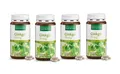 Sanct Bernhard Ginkgo 75 mg 4x240 Kapseln (150,94 EUR/kg)
