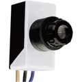 interBär 8806-006.81 Dämmerungsschalter 1 St. 230 V/AC  (L x B x H) 50 x 26 x...