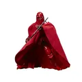 Hasbro Star Wars The Black Series Imperiale Ehrengarde Figur (15 cm) zum Jubiläum von Star Wars: Die Rückkehr der Jedi-Ritter