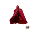 Hasbro Star Wars Black Series Emperor's Royal Guard Star Wars Episode VI: Return