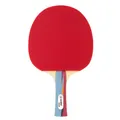 GEWO SMASH Tischtennisschläger – ITTF-zugelassener Allround-Tischtennis Schläger für Kinder & Jugendliche – Leicht & ausgewogen mit Thunderball 2 Belag für Kontrolle & Spin –Ideal für erste Wettkämpfe