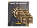 Panini FIFA Club World Cup 2025 Sticker | 1x Stickeralbum + 10x Stickertüten