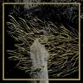Engravings - 2025 Edition