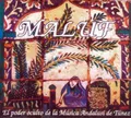 Orquestra Analusi De Tu Maluf: El Poder Oculto De La Musica Andalusi De Tu (CD)