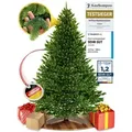 ArtiTree Künstlicher Weihnachtsbaum Künstliche Nordfichte – Premium Weihnachtsbaum naturgetreu grün 240 cm