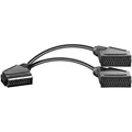 BestPlug 20cm Y Audio Video Kabel Adapter Verteiler Splitter Weiche, 1 Scart Stecker männlich auf 2 Scart Buchse Kupplung weiblich, Schwarz