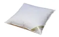 Betten Hofmann Canada Feder Daunen Kissen Kopfkissen 80x80 cm 950 g 15% Daunen