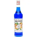 Monin Curaao Blue SIrup 1 Liter