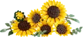 LEGO 11502 - LEGO Botanicals - Sonnenblumen
