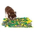 lionto Schnüffelteppich für Hunde, Intelligenzspielzeug & Futterspielmatte, rutschfest & pflegeleicht, 50x34 cm, gelb/grün