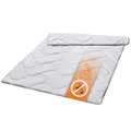 sleepling Bettdecke Silverplus 155x220 cm, Steppbett Anti Bakterien, Decke Made in EU, Ökotex 100, Waschbar 60 Grad, Steppdecke 100% feine Mikrofaser