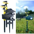 Exbuster 2er Pack Wasserstrahl-Tiervertreiber, Bewegungsmelder,