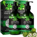 Shampoo Kopfhaut Pflege Haarwachstum gegen Haarausfall Schwarze Rizinusöl Vegan, 2x 300ml