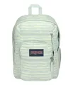JANSPORT BIG STUDENT Großer Rucksack, 15 Inch Laptop Laptopfach, Space Dye Fresh Mint (Grun)