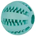 TRIXIE Denta Fun Ball - praktisches Hundespielzeug mit Minzgeschmack - ø 7 cm, Zahnpflege-Zubehör für Hunde - 3289