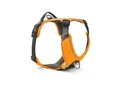 Wolters Active Pro Comfort Hundegeschirr orange S