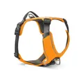 Wolters Geschirr Active Pro Comfort, Größe:50-57.5 cm, Farbe:orange/anthrazit