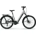 E-FIRE CITY R960i PLUS E-City Bike in grau - Grau