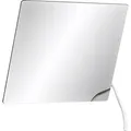 Delabie Kippspiegel m. Hebel 600x500 mm Nylon weiß
