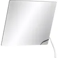 Delabie Kippspiegel M. Hebel 600x500 Mm Nylon Weiß