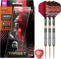 TARGET DARTS Dartpfeil Stephen Bunting G5 Void Swiss-Point-Darts, 18G, 95% Wolfram