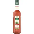 Mathieu Teisseire Bar Sirup Wassermelone 0,7L