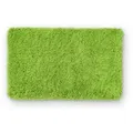 WohnDirect Hochflor, Grün, Textil, 60x100 cm, Oeko-Tex® Standard 100, Badtextilien, Badematten