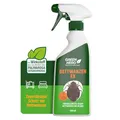 Green Hero Bettwanzen-Ex Spray 500 ml | Abwehrspray gegen Bettwanzen und Milben | Zur Unterstützung der Vorbeugung von Befall | Fernhaltemittel für Matratze und Bettgestell