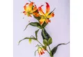 Kunstzweig Kunstblume Ruhmeskrone, orange - gelb, 80cm - Künstliche Gloriosa Gloriosa, artplants, Höhe 80.0 cm
