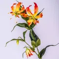 artplants Kunstblume Ruhmeskrone, orange - gelb, 80cm