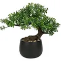 Kunstpflanze Bonsai Baum Podocarpus Schwarz-1 25cm Aesthetic Deko