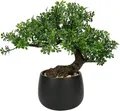 Kunstpflanze Bonsai Baum 25 cm Keramiktopf Podocarpus Schwarz Aesthetic Japan