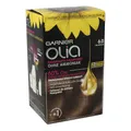 Garnier Olia Dauerhafte Haarfarbe 6.0 Hellbraun