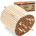 Nisthülsen für Insektenhotel 15 cm lang Durchmesser 6 UND 8 mm gemischt inkl. E-Book Niströhren u. Pappröhrchen für Wildbienen (Pappröhrchen, 300)