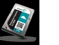 Seagate Harddisk 2.5" Enterprise ST2000NX0253 2TB