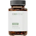CBD VITAL - Bitterkraft Komplex | 60 Kapseln | Magenbitter mit Reishi, Vitamin C, Zink und Selen
