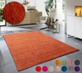 Wollteppich OTTO HOME "Karchau", orange (terracotta), B:40cm H:13mm L:60cm