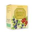 Infusion Beeren ERBAMEA 45g