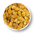 1001 Frucht leckere getrocknete weiße Maulbeeren BIO 500 g aus neuer Ernte I Bio Maulbeere ohne Zuckerzusatz und ohne weitere Zusätze I getrocknete bio Maulbeeren