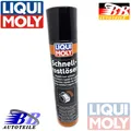 LIQUI MOLY 1612 300 ml Schnell Rostlöser Dose