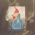 Perspex Island [US-Import] von Robyn Hitchcock | CD | Zustand sehr gut