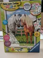 Ravensburger Malen nach Zahlen Classic Serie D Pferde Glückliche Pferde 28566