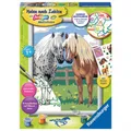 Ravensburger 28566 - Glückliche Pferde Malset Malen nach Zahlen Sticker NEU