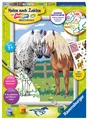 Ravensburger Malen nach Zahlen 28566 - Glückliche Pferde Kinder ab 7 Jahren