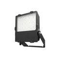 Dotlux LED-Fluter 4867-150120 DOTLUX DOTLUX Dotlux